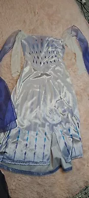 DISNEY Princess FROZEN 2 ELSA Costume Dress Up  Size 8/10 Girls • $18