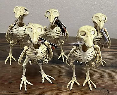 5 Lot Skeleton Plastic Birds Halloween Science Classroom Decoration • $12