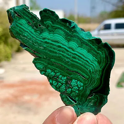 59G  Natural Glossy Malachite Transparent Cluster Rough Mineral Sample • $4.25