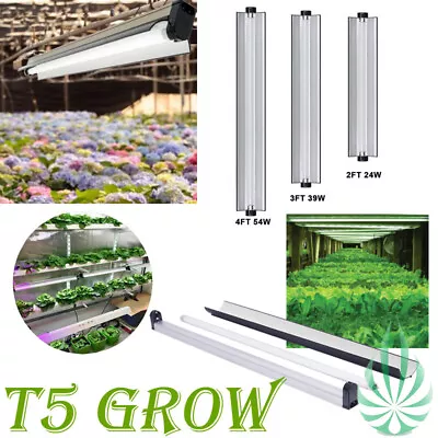 Super Lumen T5 Grow Light Hydroponics Microgreen Vege Farm Plant Best Choice • $68