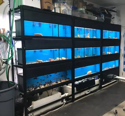 270 Gal Commercial Marineland Vertical Aquarium Fish Tank Bio-wheel • $3499.99