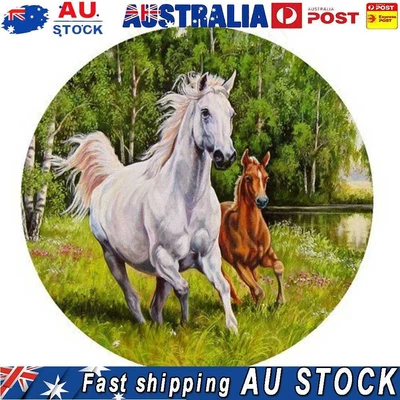 $10.16 • Buy 5D Diamond Painting Full Round Drill Steed Picture Of Rhinestone