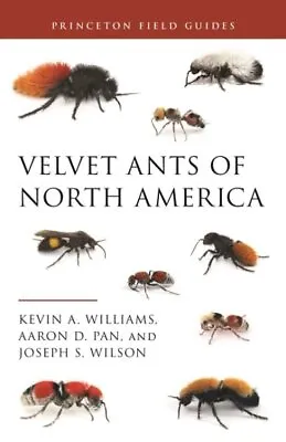 Velvet Ants Of North America Paperback By Williams Kevin A.; Pan Aaron D.;... • $31.44