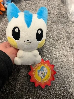 Pokemon Center Pachirisu Pokedoll Pokemon Plush With Japanese Red Star Hang Tag • $135