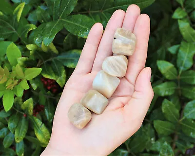 5 Pack Lots Tumbled Stones: Choose Type (Crystal Healing Bulk) • $4