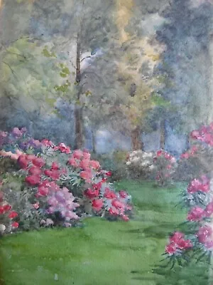 A Flowering Woodland Glade Edwardian W/Colour Indistinctly Signed. J Locke? • £60