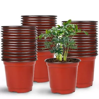 Augshy Nursery Pot 75 Pcs 4  Plastic Nursery Seed Starting Pots Flower Plant... • $28.98