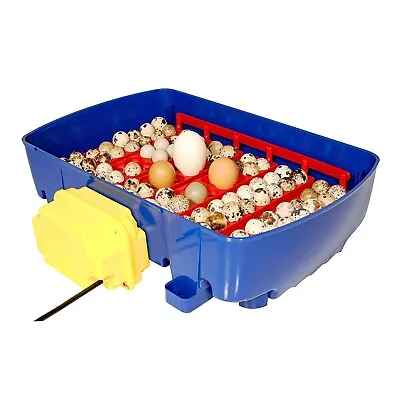 Incubatrici Borotto REAL 24 Egg Incubator (Automatic) (Poultry Chicken Quail) • £199.99