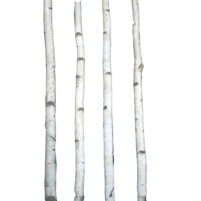 $57.99 • Buy 4 Thin White Birch Poles 4'