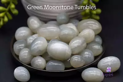 Green Moonstone Tumbles • $4.74