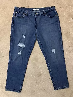 Levis Women’s Capri Jeans Size 16/33W Boyfriend Cropped Distressed • $18
