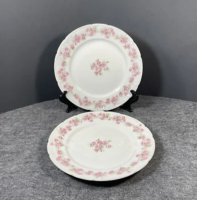 $24.99 • Buy CH Field Haviland 2 Bread Plates The Fontainbleau Pink Roses Limoges France READ