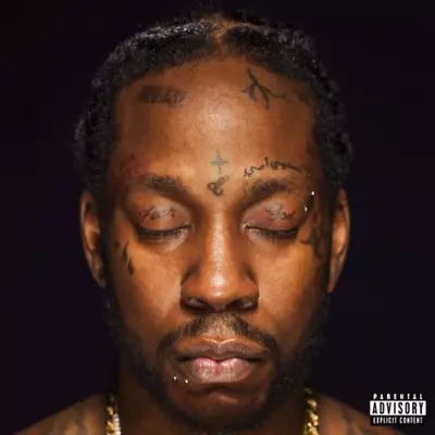 2 Chainz - Collegrove NEW Sealed Vinyl LP Album • $34.99