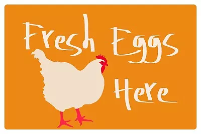 Fresh Eggs Here Fun Modern Style New Metal Sign Plaque Chicken Hen In Orange • £4.95