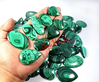 Green Malachite Cabochon Wholesale Lot 500 Cts 8 Pcs Loose Natural Gemstone • $42.99