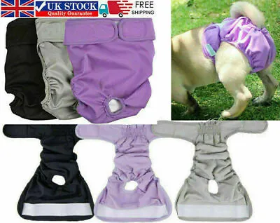 £4.99 • Buy Female Dog Pet Season Heat Pants Short Sanitary Underwear Puppy Menstrual Diaper