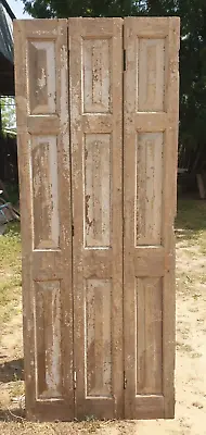 Vintage Carved Indian Door Antique Indian Door Teak Wood Door Wooden Foldable • $2500