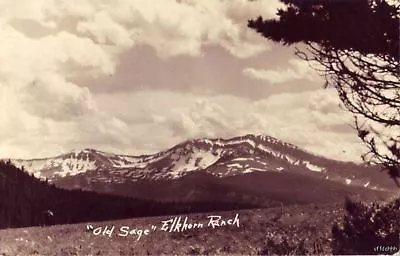  Old Sage  Elkhorn Ranch Mt 1936 Rp • $7.49