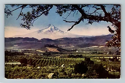 Mt. Hood OR-Oregon Hood River Valley Vintage Postcard • $7.99