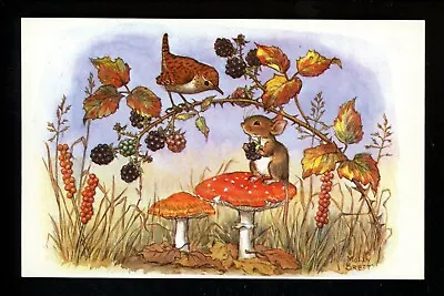 Artist Signed Postcard Molly Brett Medici Society Anthropomorphic Animals  • $5.99