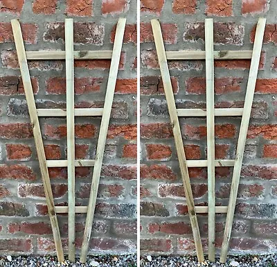 Wooden Fan Wall Trellis Climbing Plant Support Frame Trellises Wood 100cm 2Pcs • £21.99