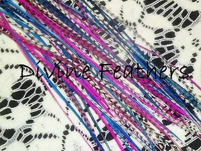 XL Long Salon Kit Raspberry Cobalt Feather Extensions Natural Grizzly Feathers • $21.95