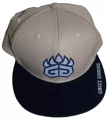 Memphis Grizzlies NBA Flat Bill Hat Cap Adjustable Melonwear Snapback  • $20