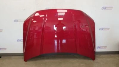 $382.50 • Buy 20 Ford F150 Complete Hood Assembly Red