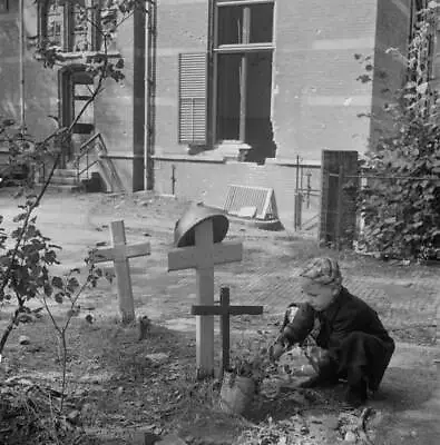 $9 • Buy City Of Arnhem After Liberation From German Occupation 1945 Old Photo 12