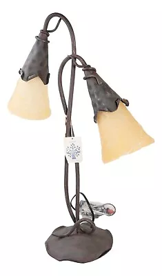 Iron Double Table Lamp With Glass Shades A161-2T • $79.98