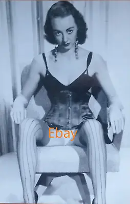 Vampish Woman On Chair In Corset And Stockings  6 X 4 Inch Photograph • £4.25