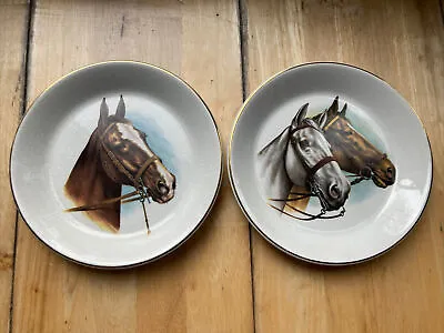 2x Jon Anton Ironstone Horse PLATE 1990s Vintage Equestrian Horses (C) • £9.70