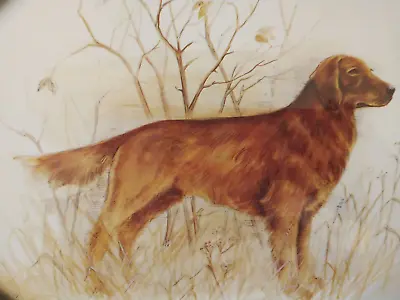 Golden Retriever Dog Print Gold Framed Art Decor Field Setter Print 8 X 10 NEW • $7.50