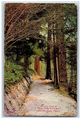 Olympia Washington Postcard On The Trail It's The Water Forest Tree 1910 Vintage • $29.95