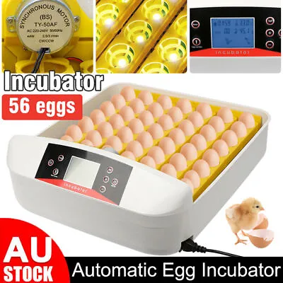 56 Eggs Digital Egg Incubator LED Fully Automatic Turning Chicken Duck Poultry • $110.95