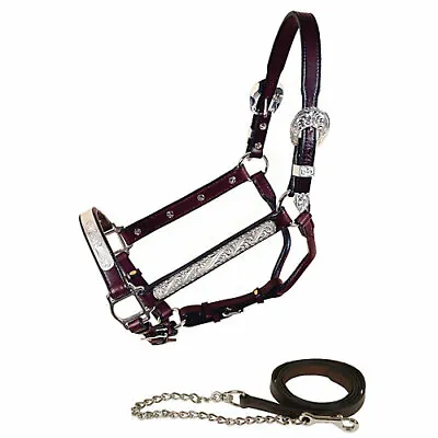 $485.99 • Buy Tory Leather Tory Deluxe Oklahoma Show Halter W/Lead