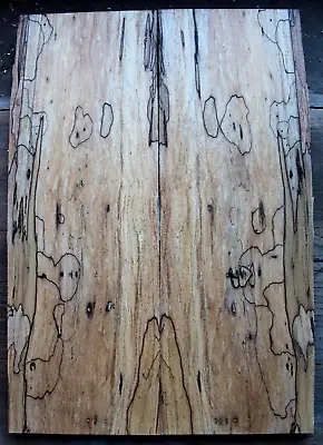 Figured Spalted Ink Line Rock Maple Drop Top .38  Thk Guitar Bass Tonewood 2314 • $69.99
