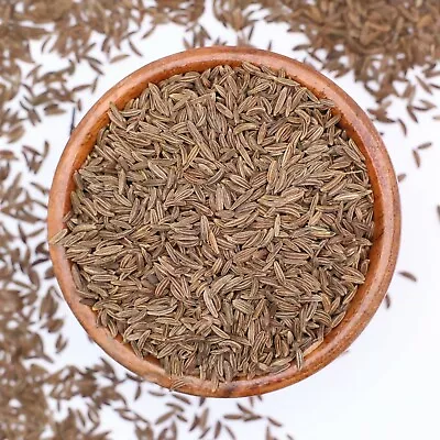 Premium Caraway Seeds Perfect For Baking And Cooking Bulk Restaurant Supply • $11