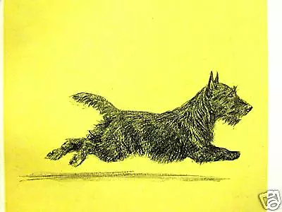 Kirmse RUNNING SCOTTISH TERRIER Dog Art Print Matted • $24.99