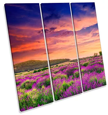 Summer Lavender Sunset Field TREBLE CANVAS WALL ART Square Picture Print • £49.99