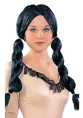 RG Costumes 60024 Native American Indian Braided Wig (Standard;One Size) • $18.36