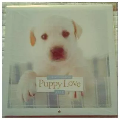 Puppy Love 16 Month 2013 Mini Wall Calendar 6x6 • $11.99