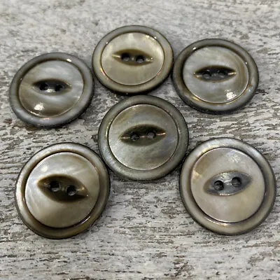 6 Abalone Vintage 2 Hole Mop Shell Mother Of Pearl Buttons Set ” #75 • $29.99