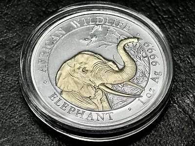 2018 Somalia Silver Elephant Gold Gilded 1 Oz .9999 Silver 100 Shillings Coin • $50