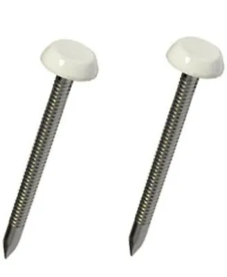 £9.99 • Buy White UPVC Plastic Headed Poly Top Pins Nails 250 × 40mm