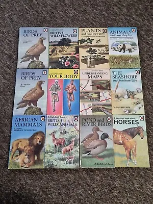 12 Vintage Ladybird Books Nature Series 536 651 12 Matt Books Good Condition A6 • £39.95