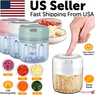 Electric 300ML Garlic Press Chopper Chili Onion Fruits Meat Mincer Blender Mixer • $13.89