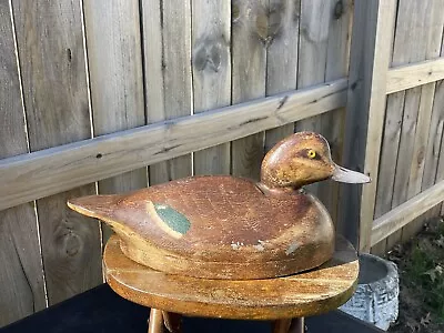 Vtg Michigan Ontario St Clair Flats Hollow Pintail Hen Duck Decoy Great Paint • $9.99