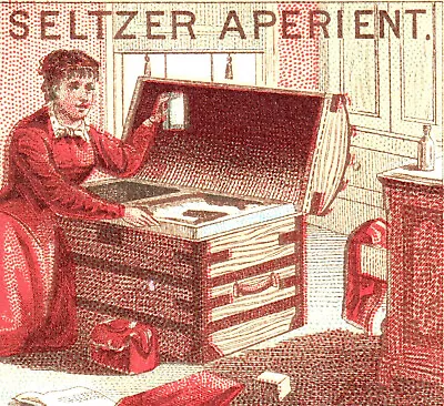 Motion Sickness Cure 1800's Victorian Travel Trunk Tarrants Seltzer Trade Card • $19.50