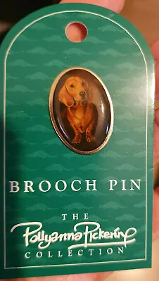 £2.99 • Buy Brooch Pin Pollyanna Pickering Collection Dachshund Dog Dogs